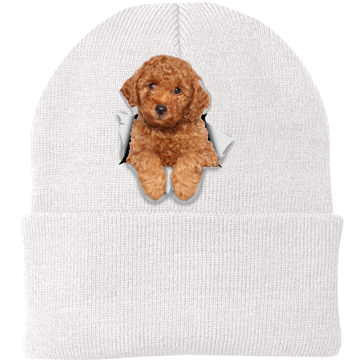 CP90 Port & Company Knit Beanie - White