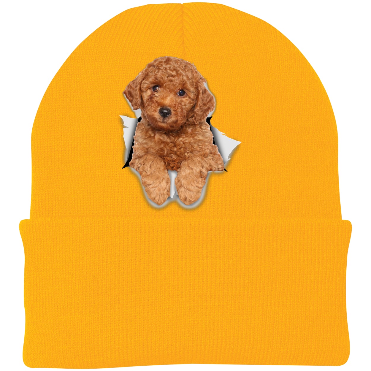 CP90 Port & Company Knit Beanie - Athletic Gold