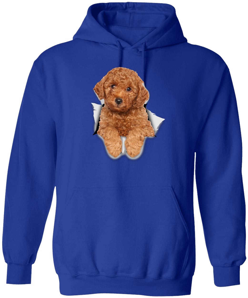G185 Gildan Pullover Hoodie - Royal