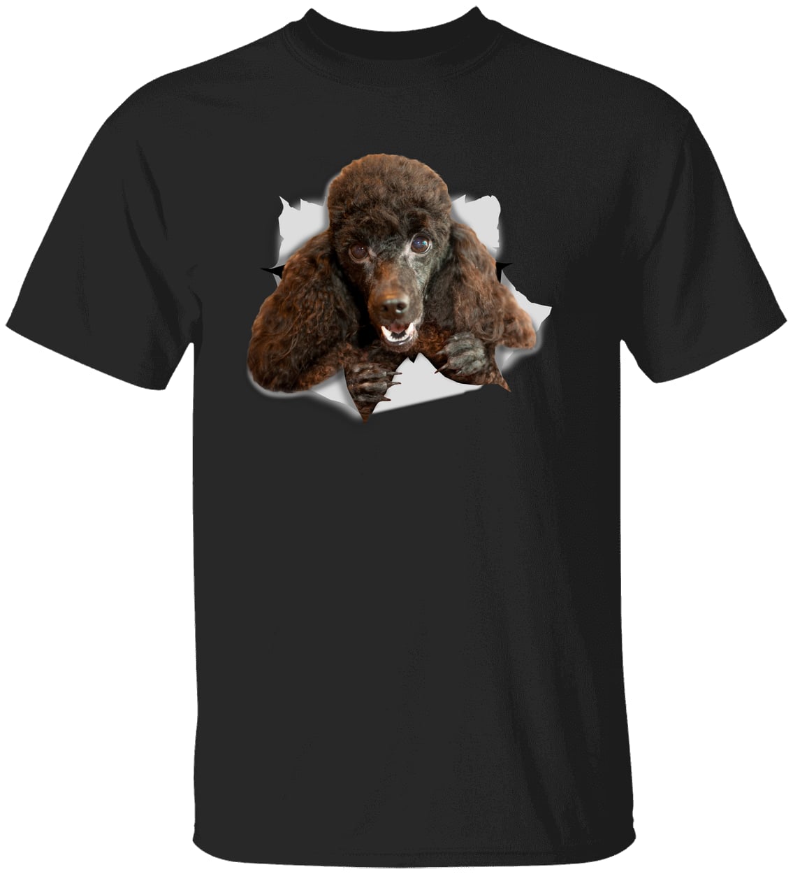 G500 Gildan 5.3 oz. T-Shirt - Black