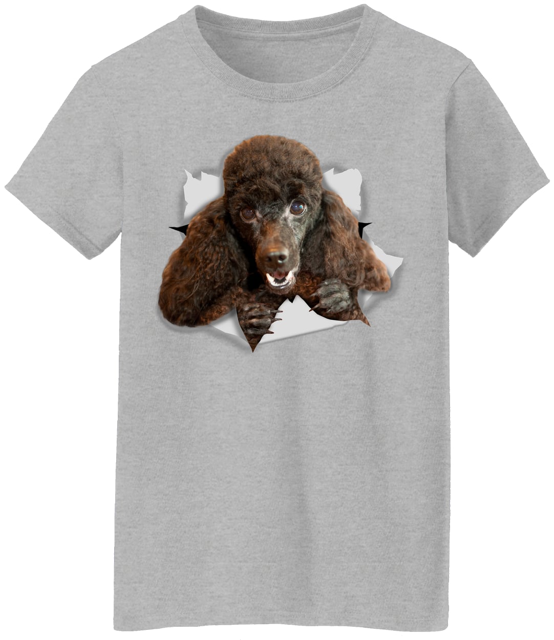 G500L Ladies' 5.3 oz. T-Shirt - Sport Grey