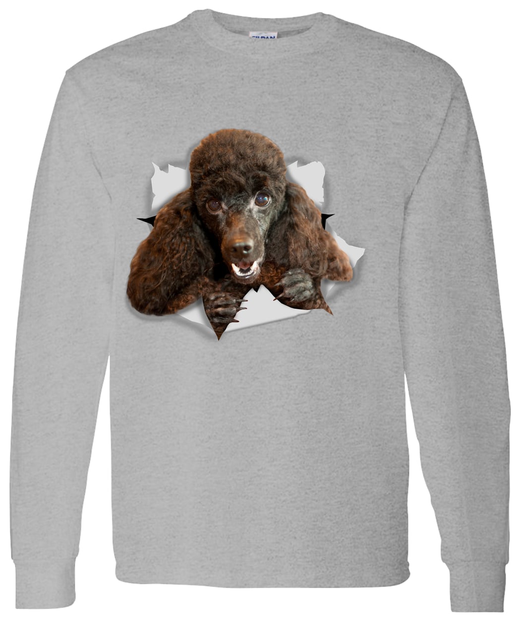 G540 LS T-Shirt 5.3 oz. - Sport Grey