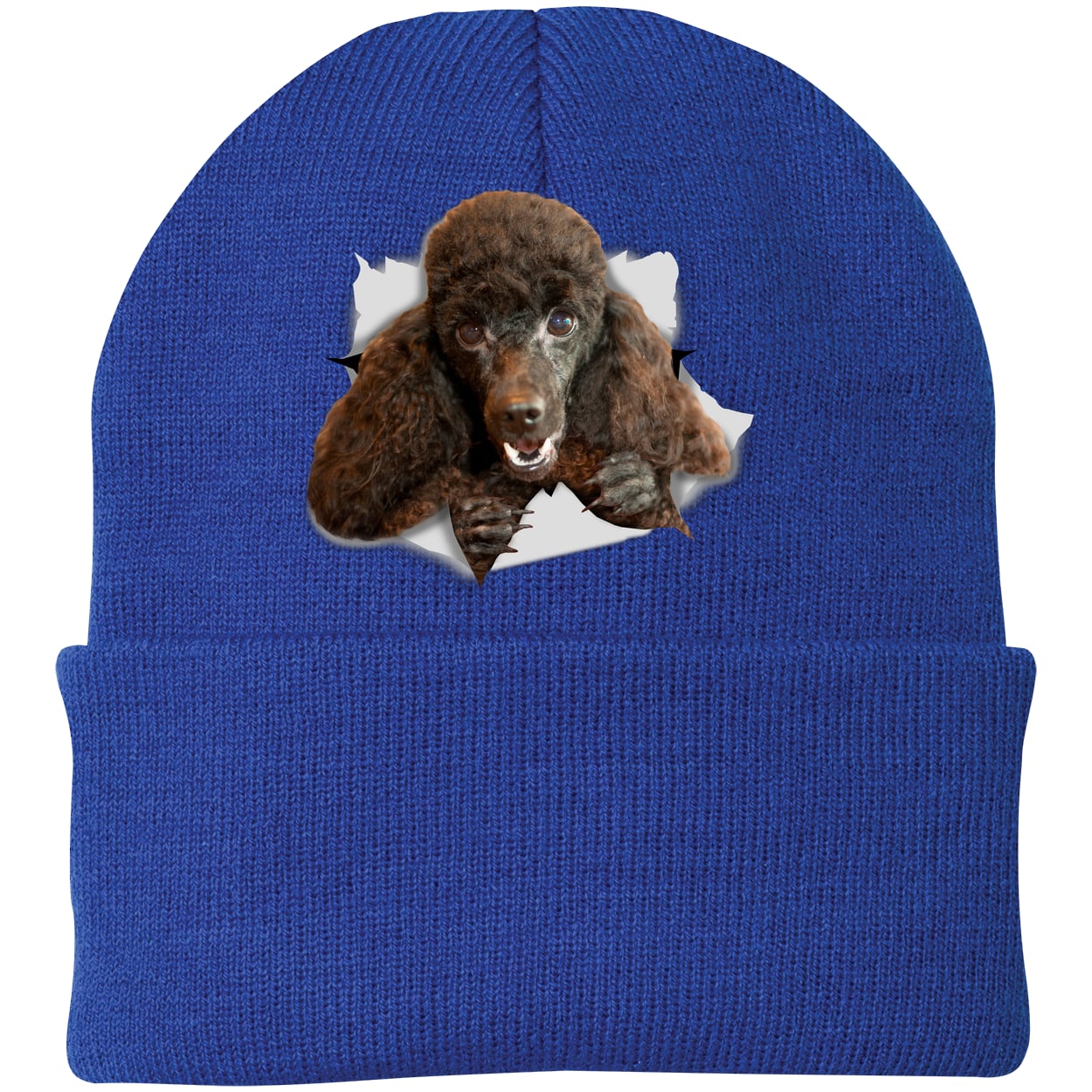 CP90 Port & Company Knit Beanie - Athletic Royal