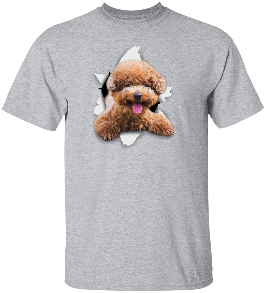 G500 Gildan 5.3 oz. T-Shirt - Sport Grey
