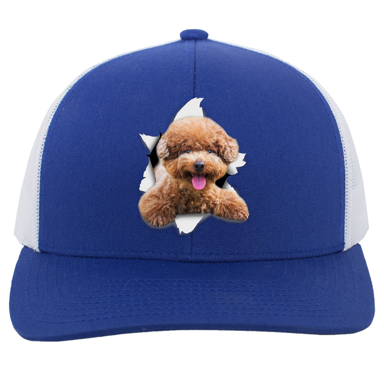 104C Trucker Snap Back - Royal/White
