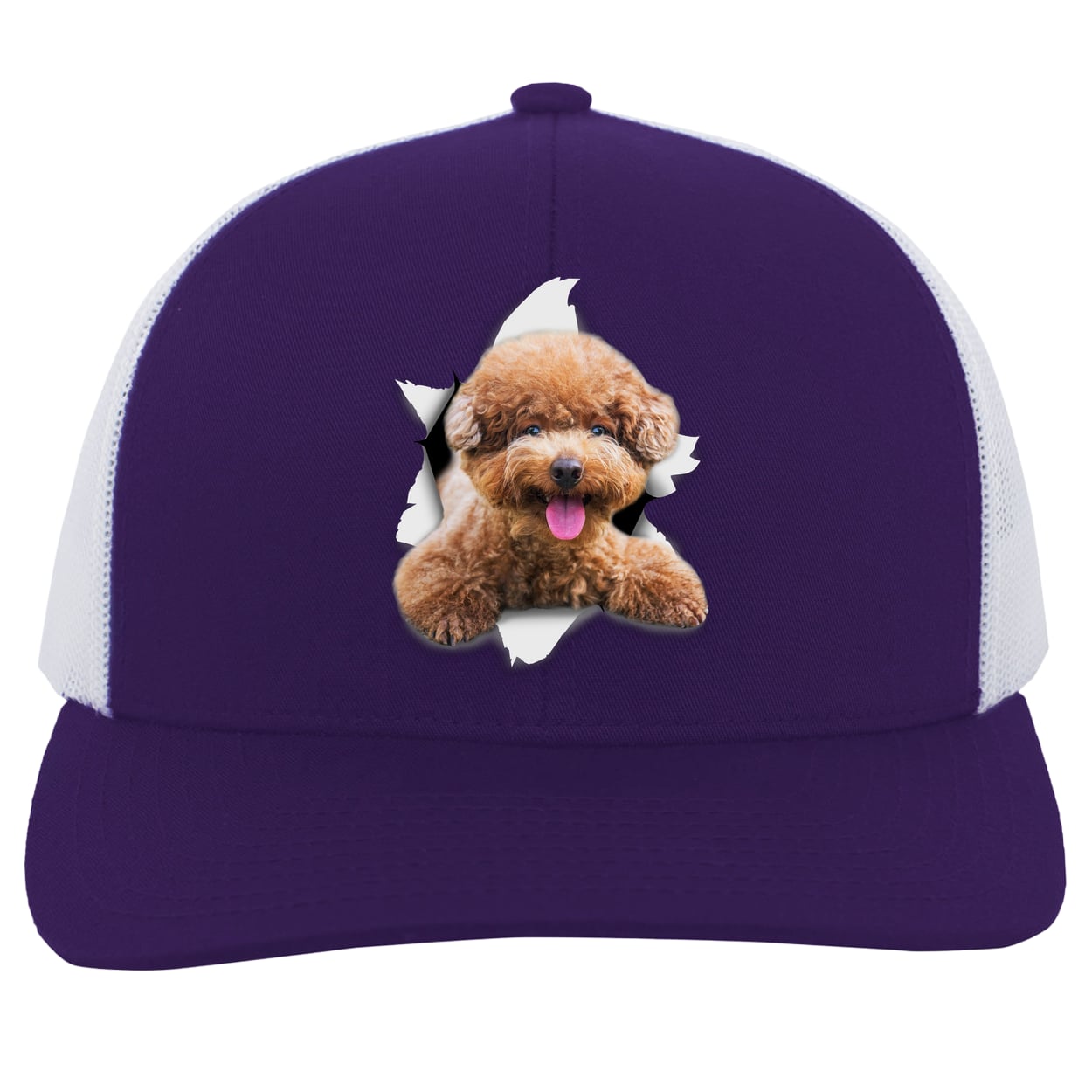 104C Trucker Snap Back - Purple/White