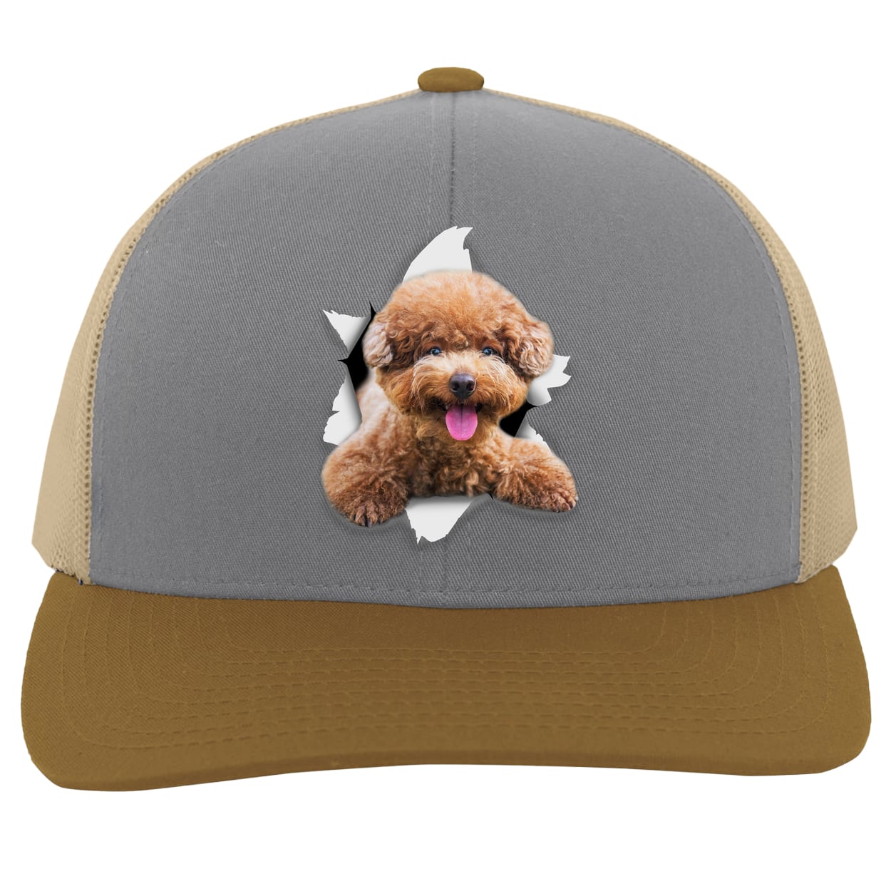 104C Trucker Snap Back - Heather/Beige/Amber