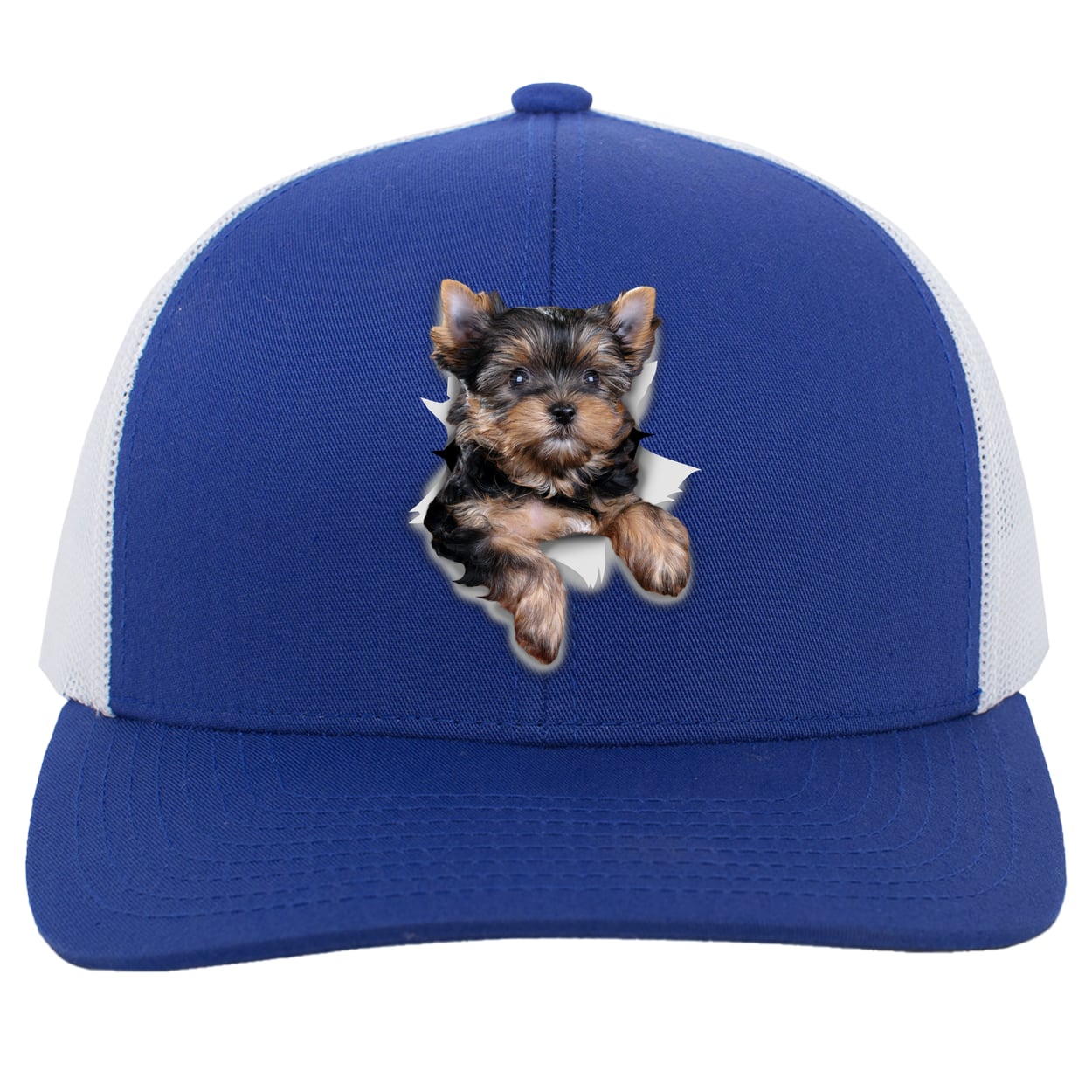 104C Trucker Snap Back - Royal/White
