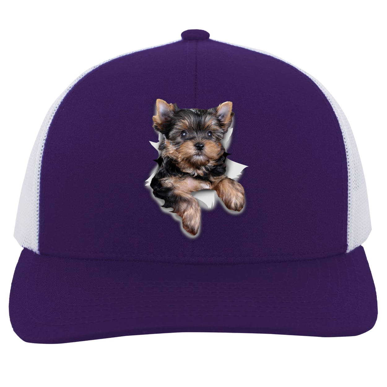 104C Trucker Snap Back - Purple/White