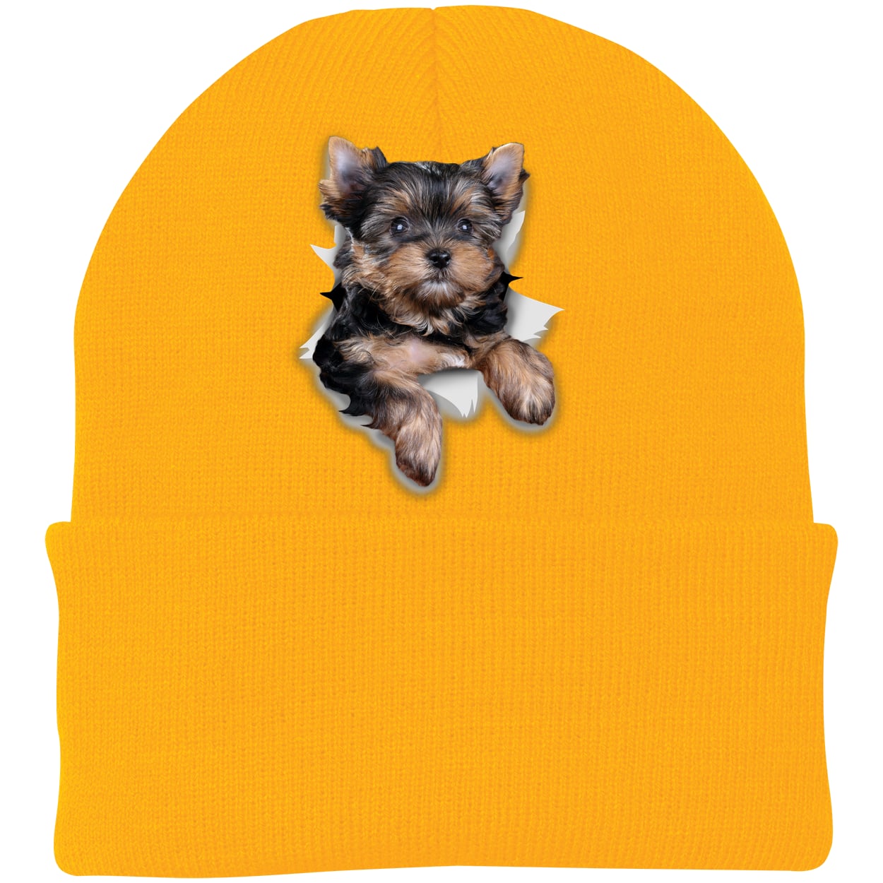 CP90 Port & Company Knit Beanie - Athletic Gold