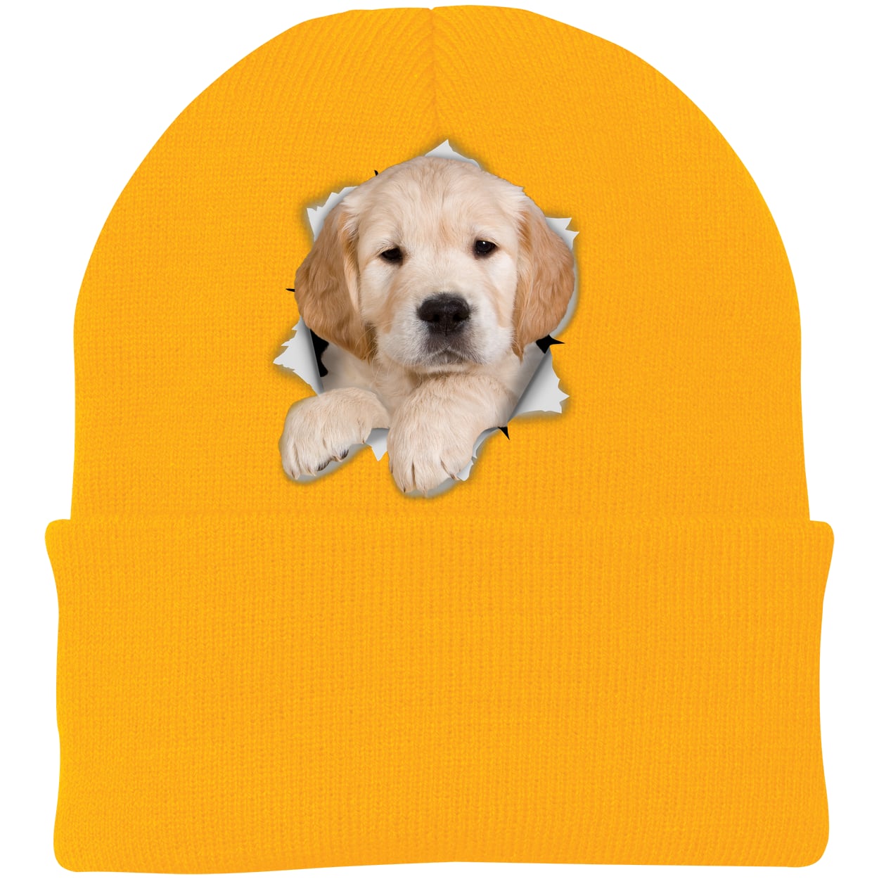 CP90 Port & Company Knit Beanie - Athletic Gold