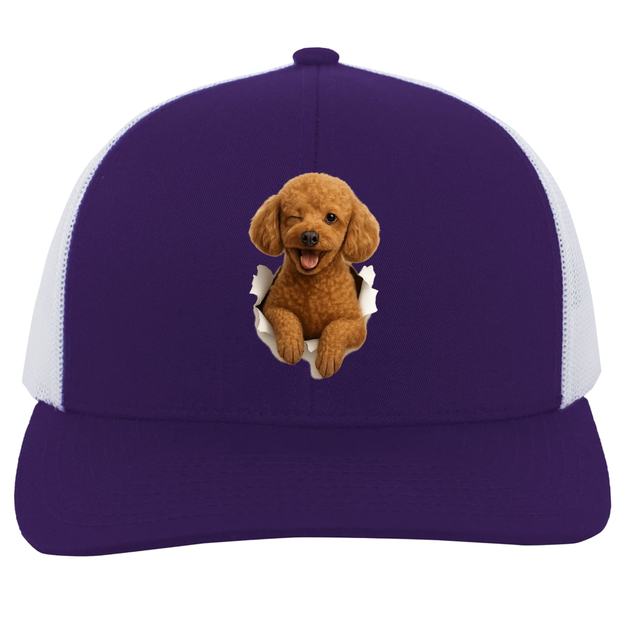 104C Trucker Snap Back - Purple/White