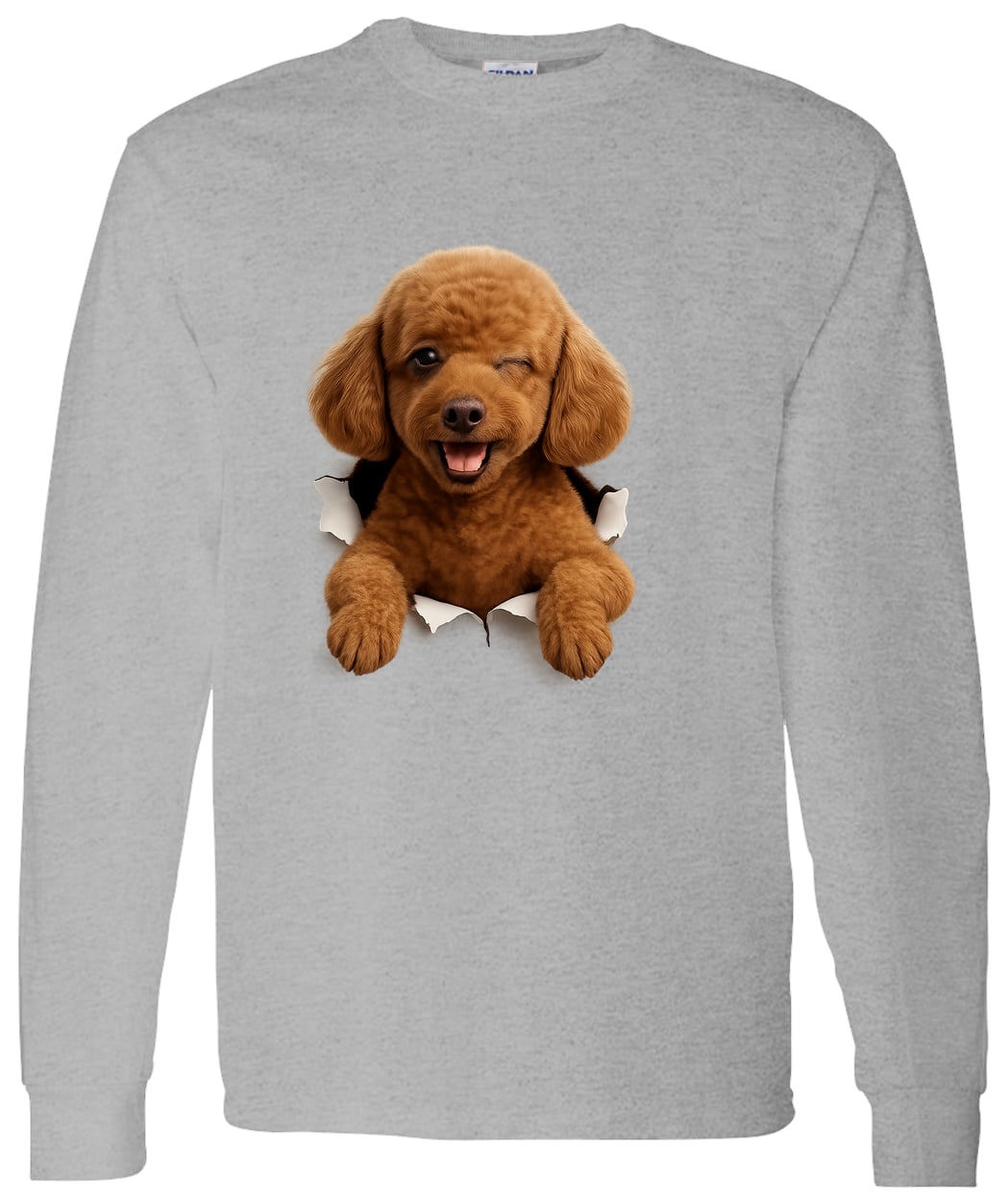 G540 LS T-Shirt 5.3 oz. - Sport Grey