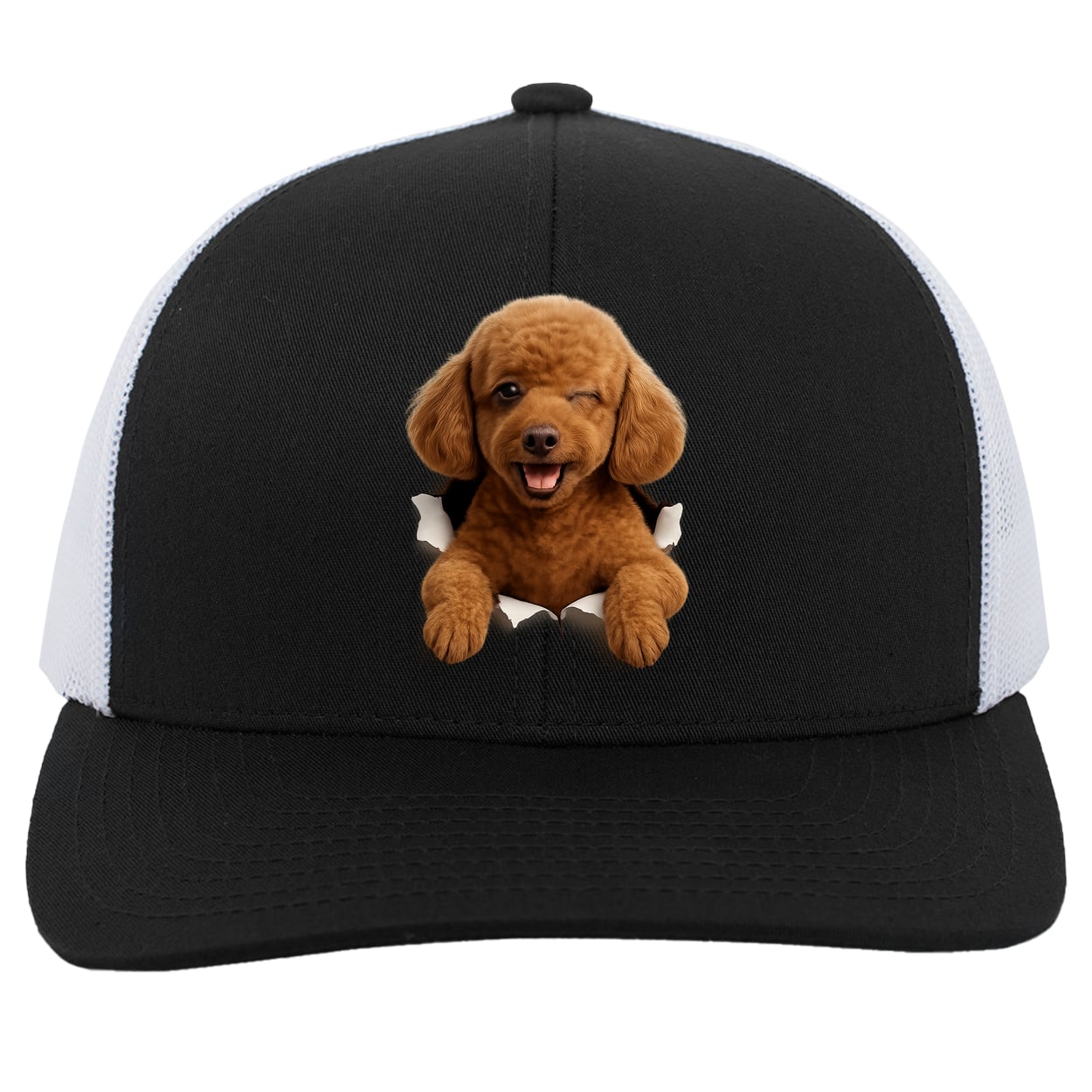104C Trucker Snap Back - Black/White