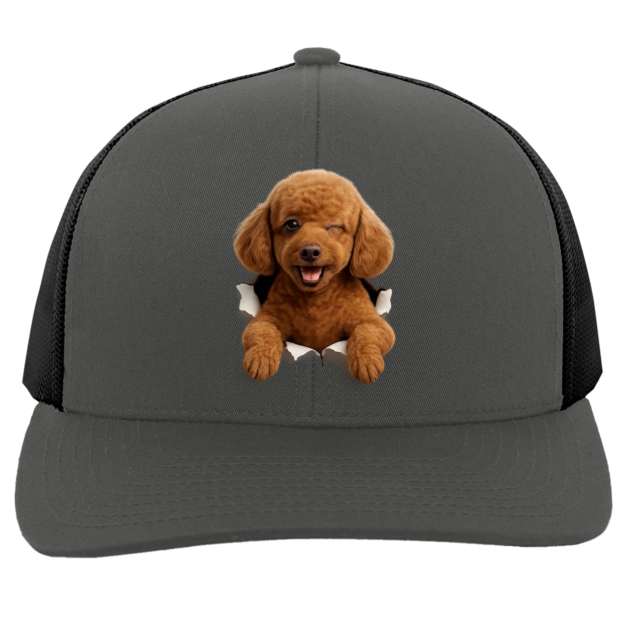 104C Trucker Snap Back - Graphite/Black