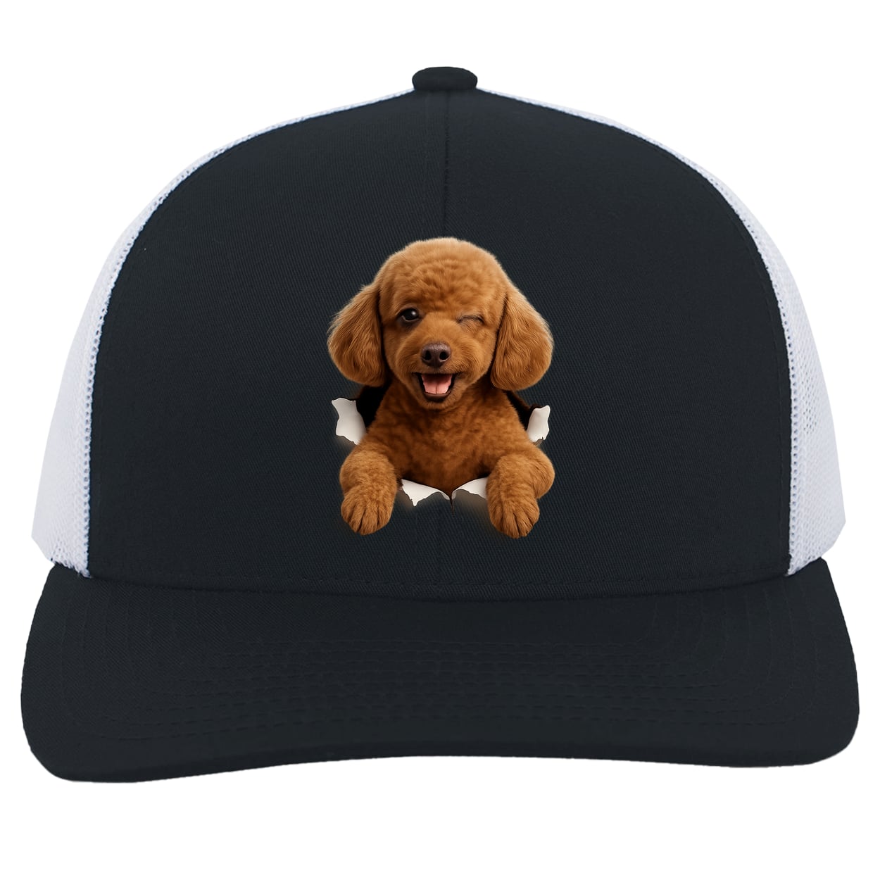 104C Trucker Snap Back - Navy/White
