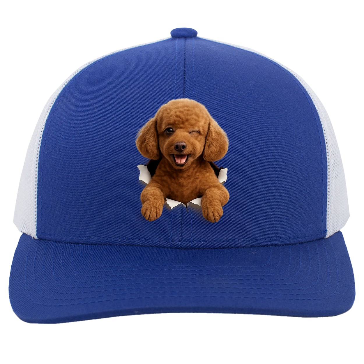 104C Trucker Snap Back - Royal/White