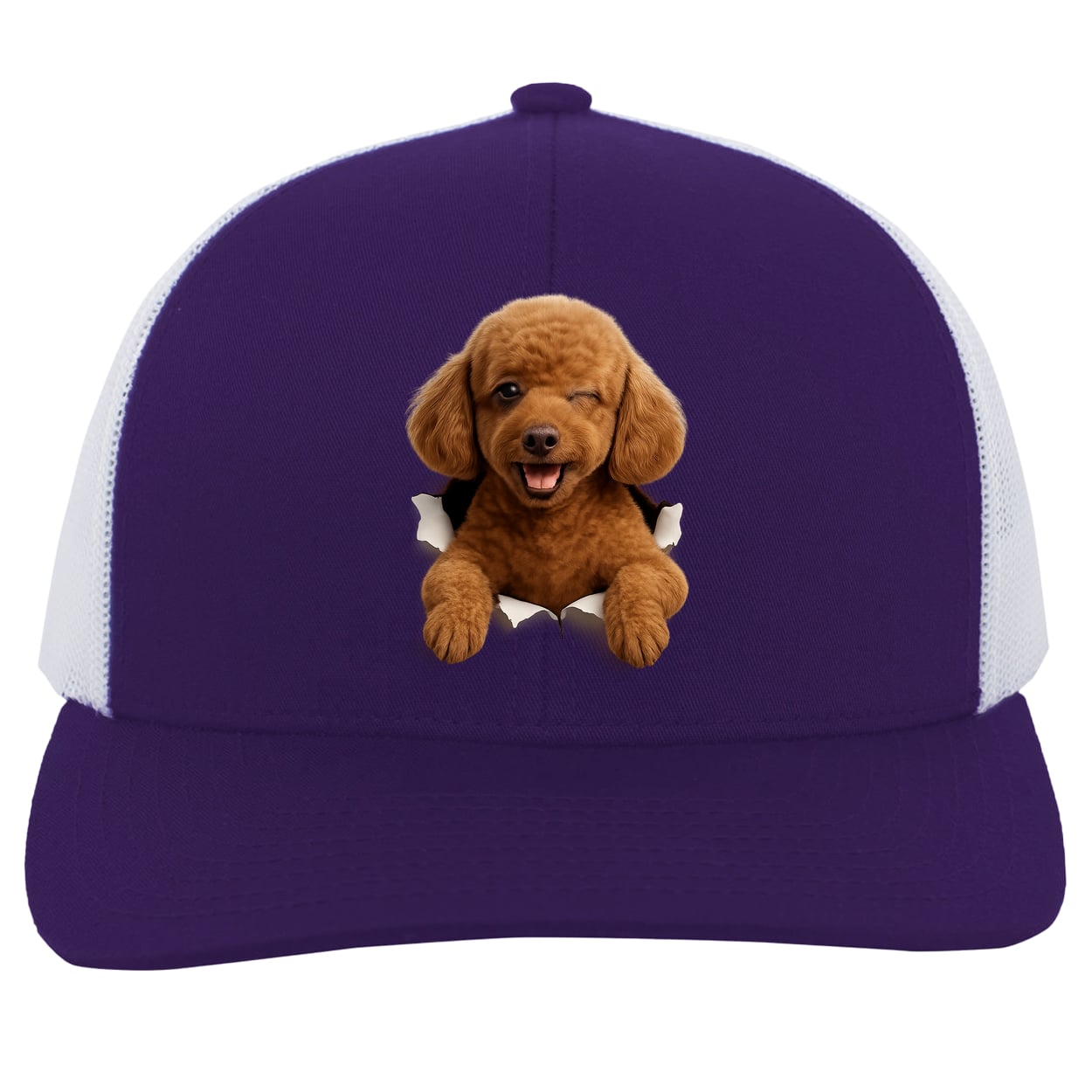 104C Trucker Snap Back - Purple/White