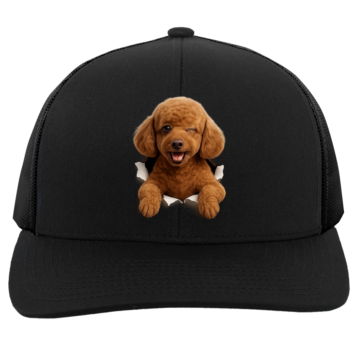 104C Trucker Snap Back - Black