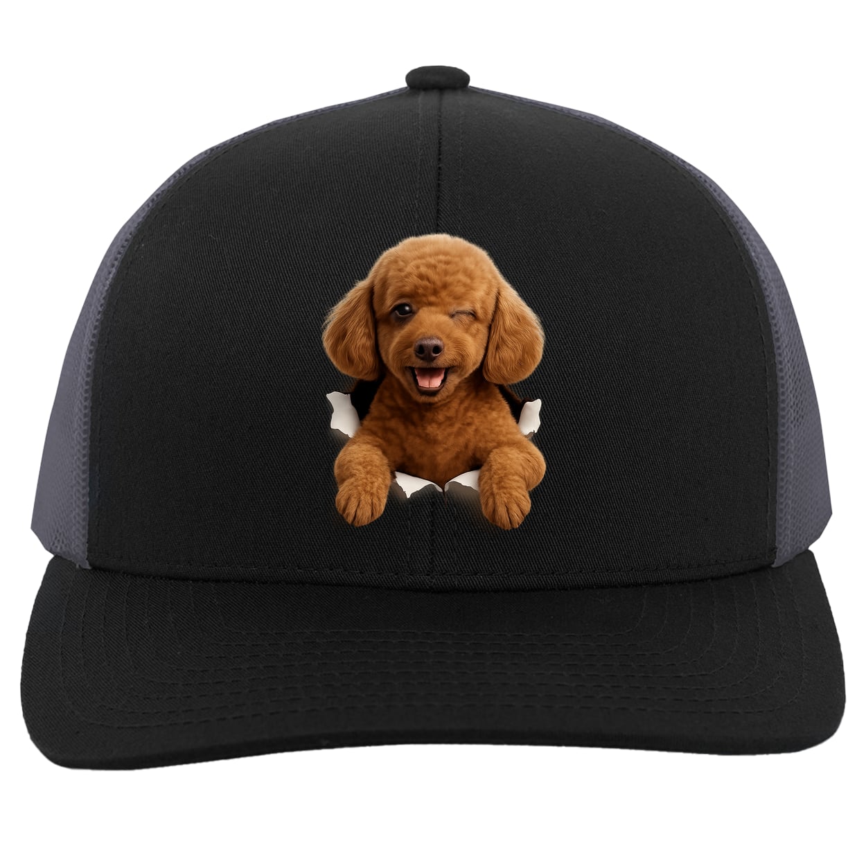 104C Trucker Snap Back - Black/Graphite