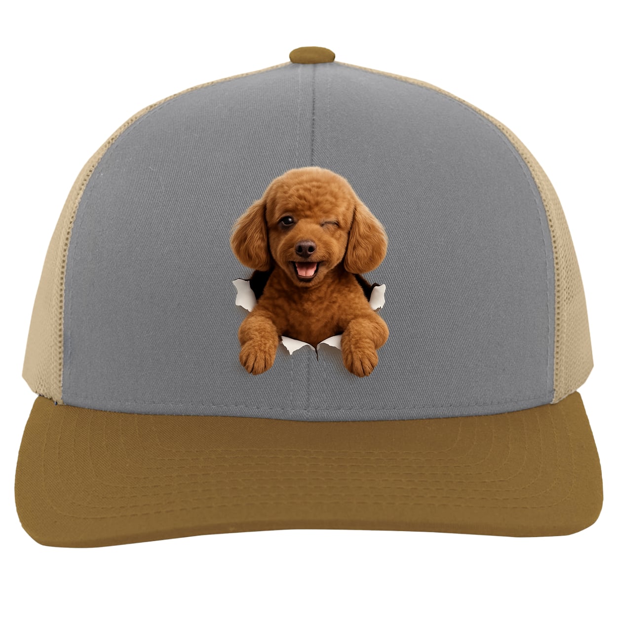 104C Trucker Snap Back - Heather/Beige/Amber