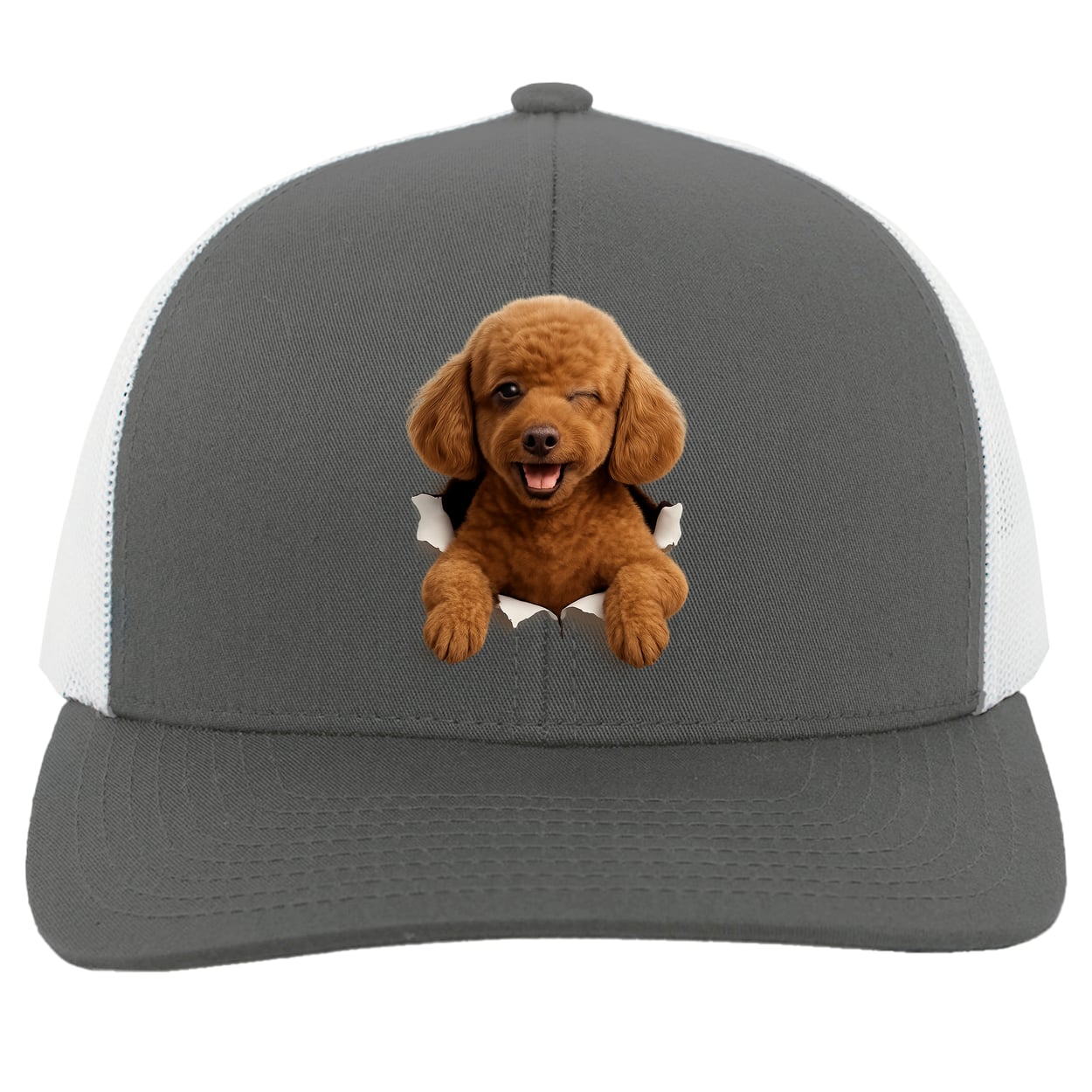 104C Trucker Snap Back - Graphite/White