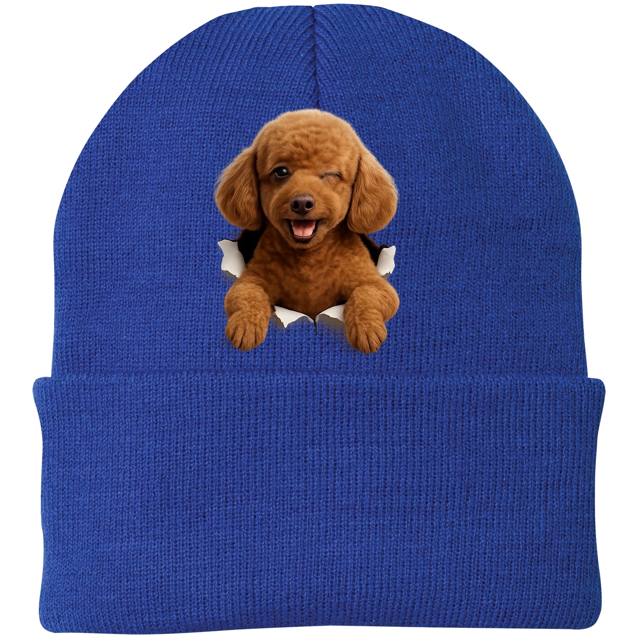 CP90 Port & Company Knit Beanie - Athletic Royal