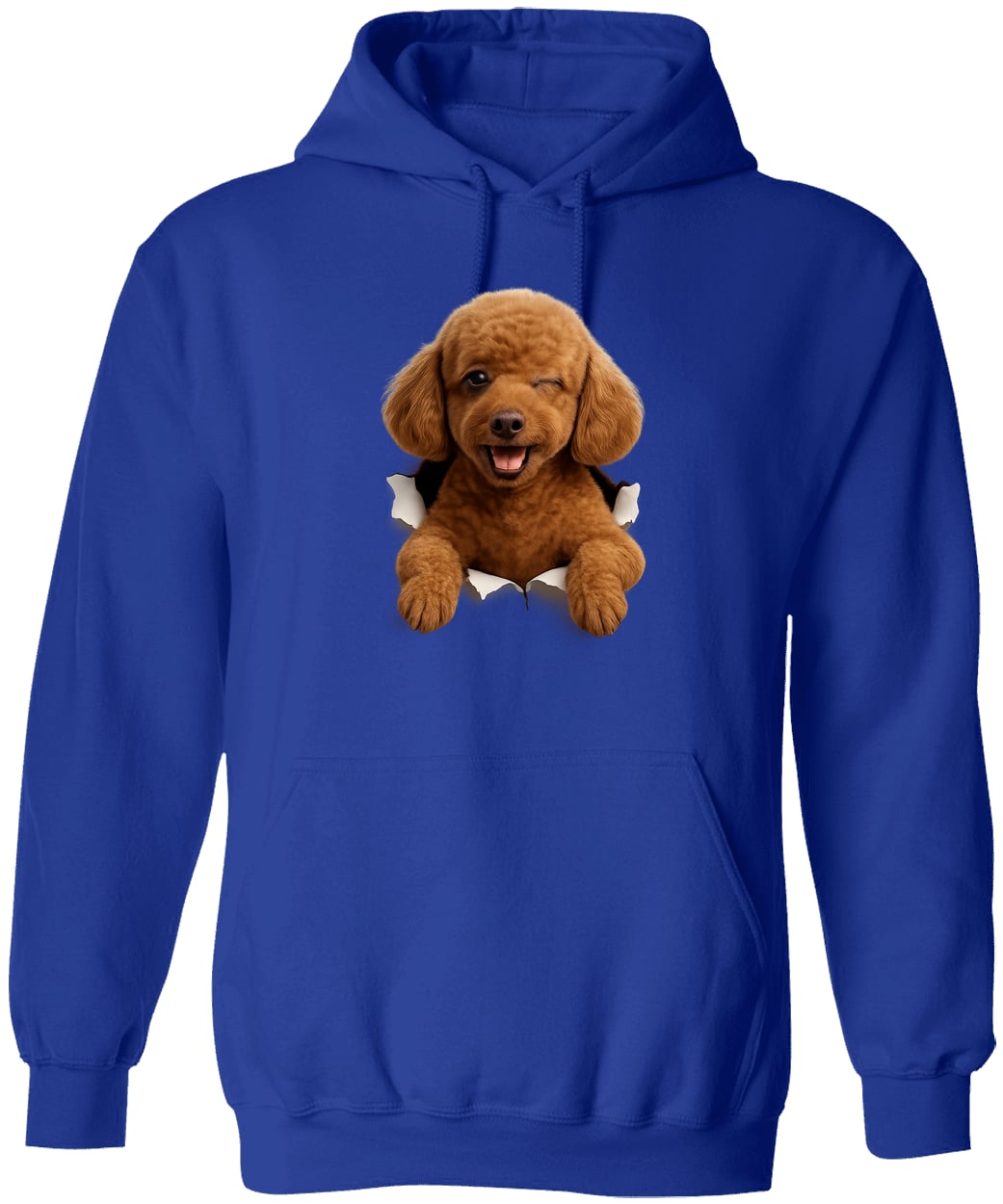 G185 Gildan Pullover Hoodie - Royal
