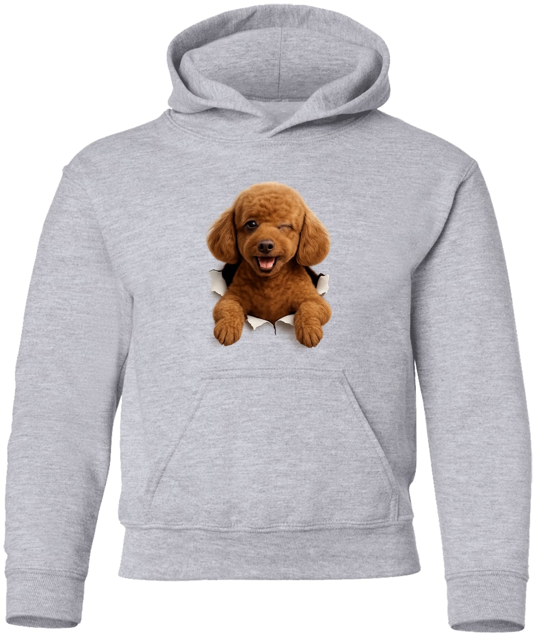 G185B Gildan Youth Pullover Hoodie - Sport Grey