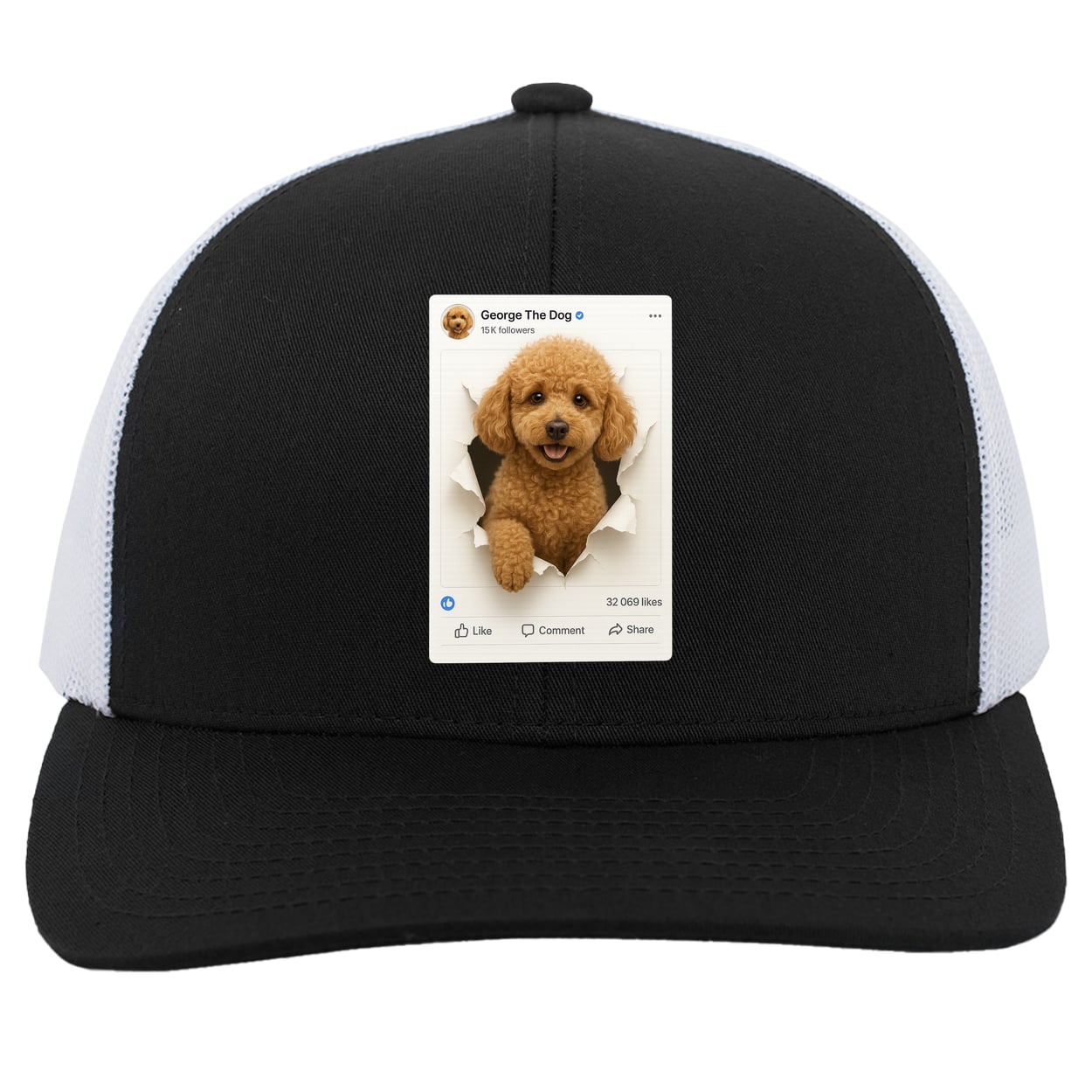 104C Trucker Snap Back - Black/White