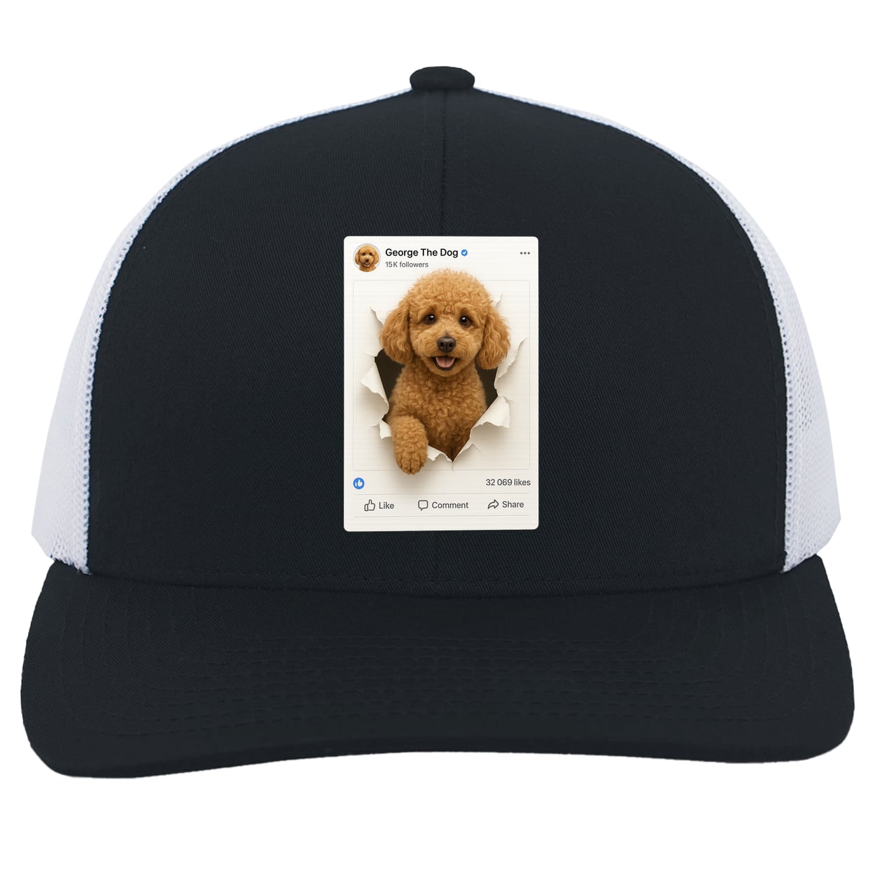 104C Trucker Snap Back - Navy/White