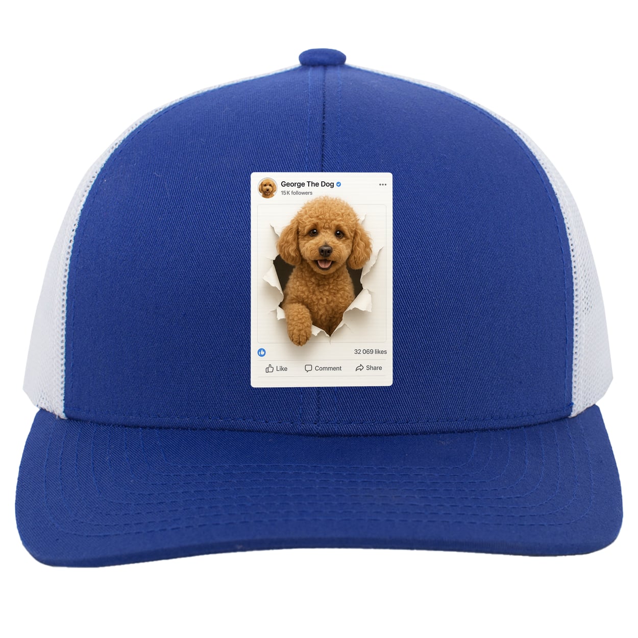 104C Trucker Snap Back - Royal/White