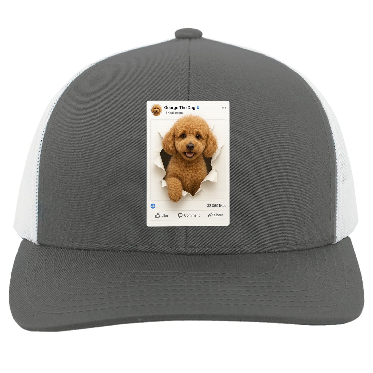 104C Trucker Snap Back - Graphite/White