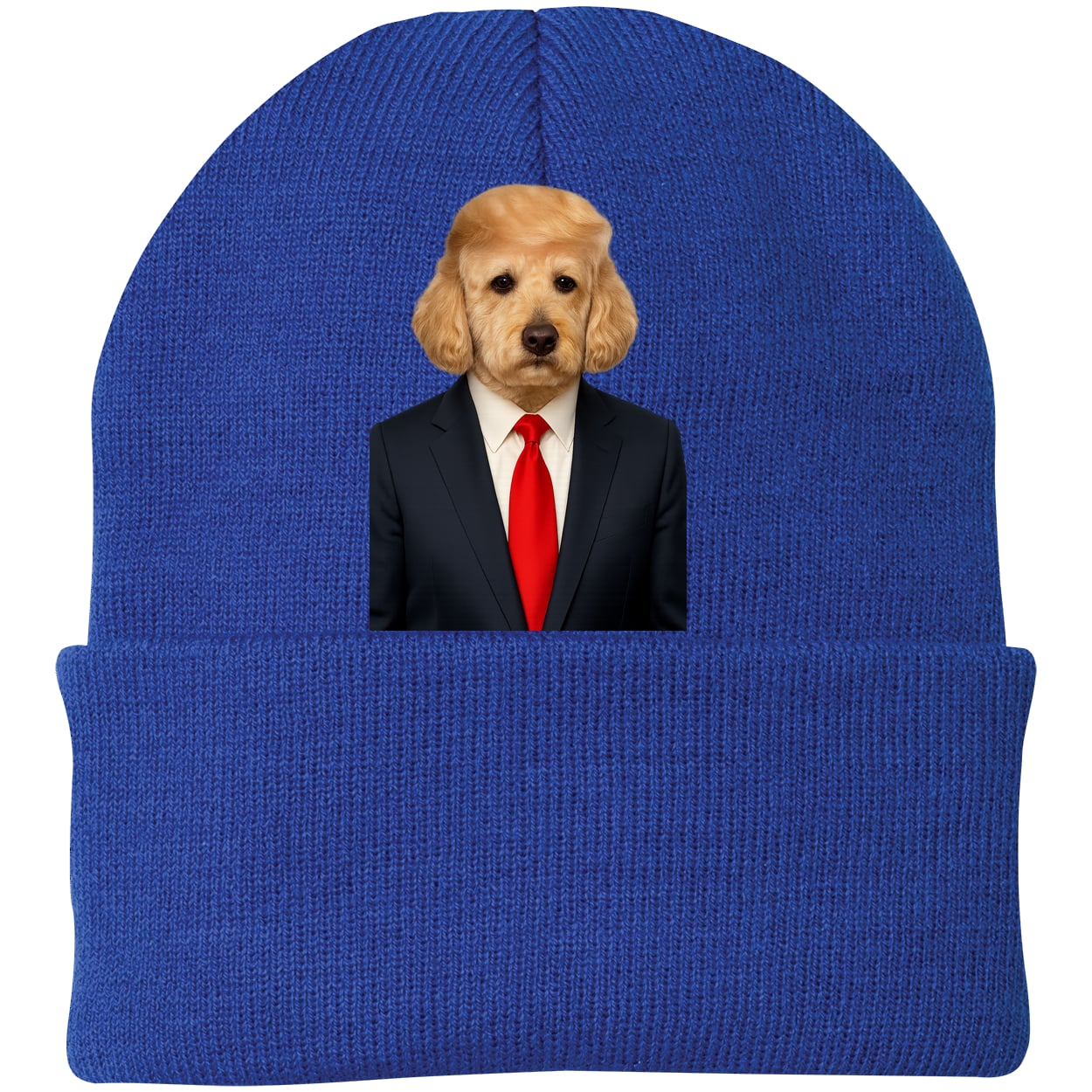 CP90 Port & Company Knit Beanie - Athletic Royal