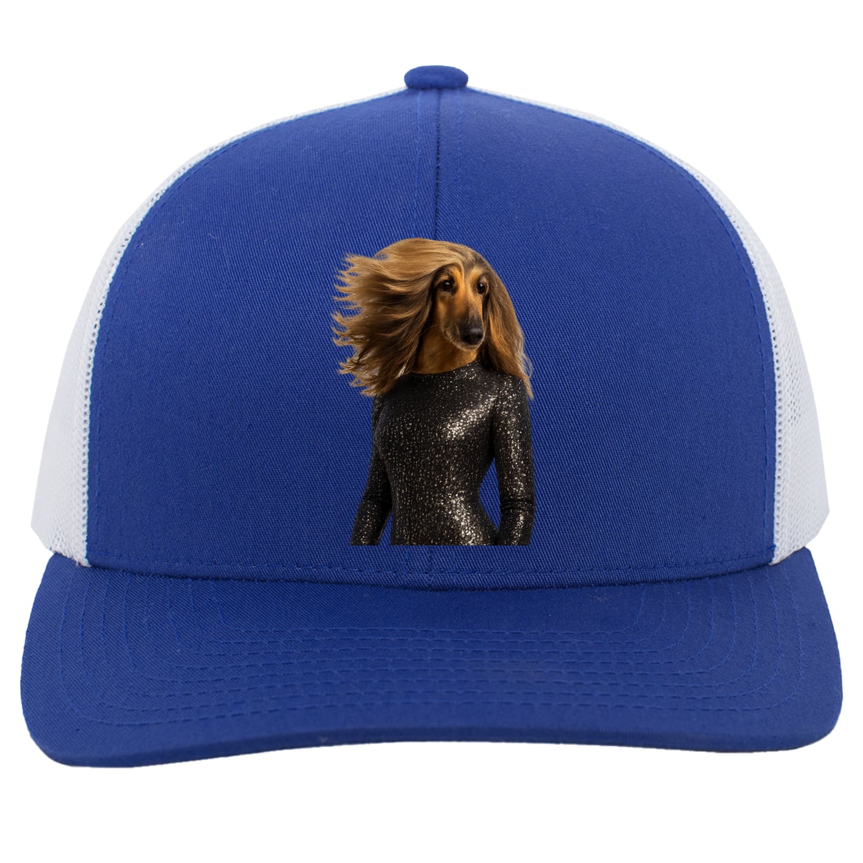 104C Trucker Snap Back - Royal/White
