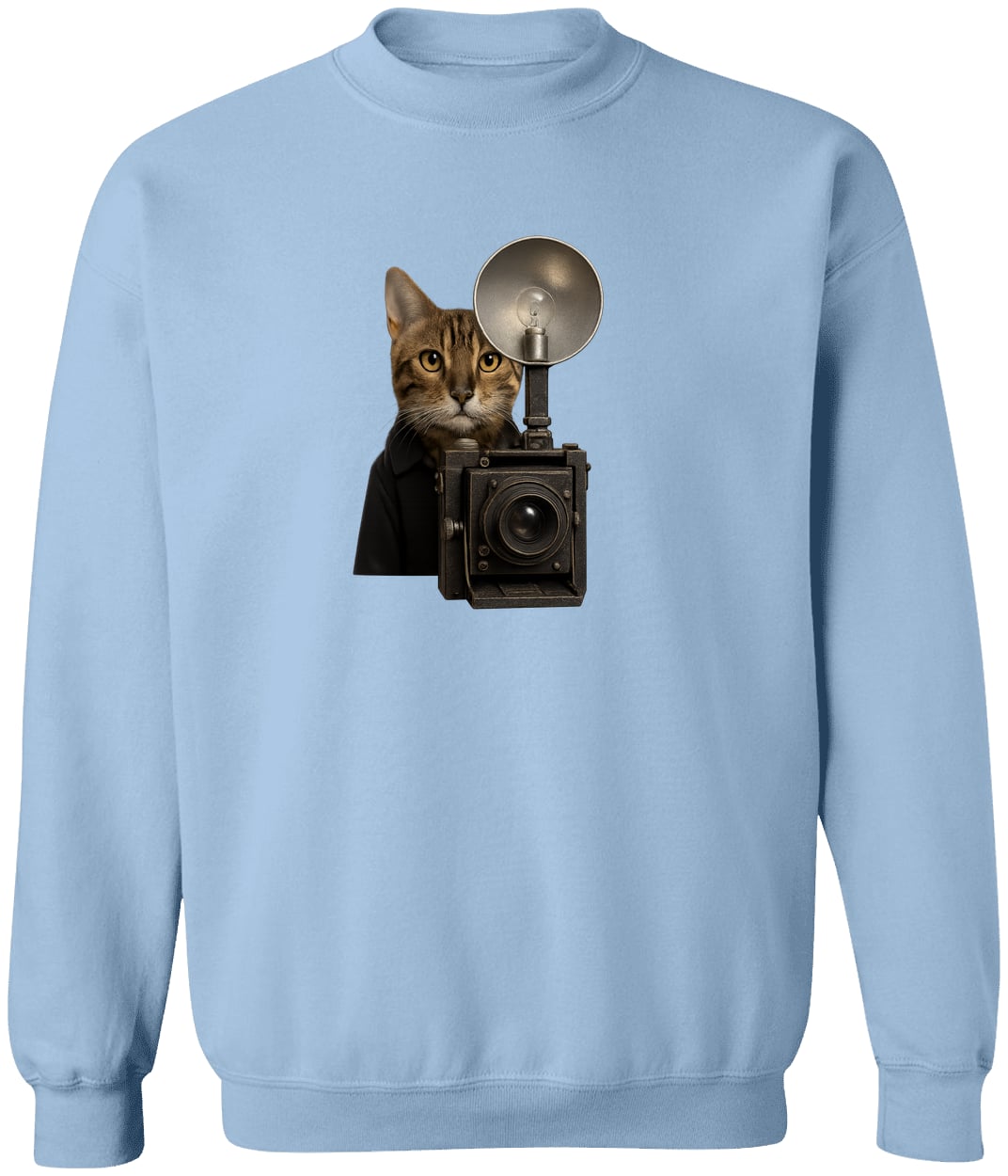 G180 Gildan Crewneck Pullover Sweatshirt - Light Blue