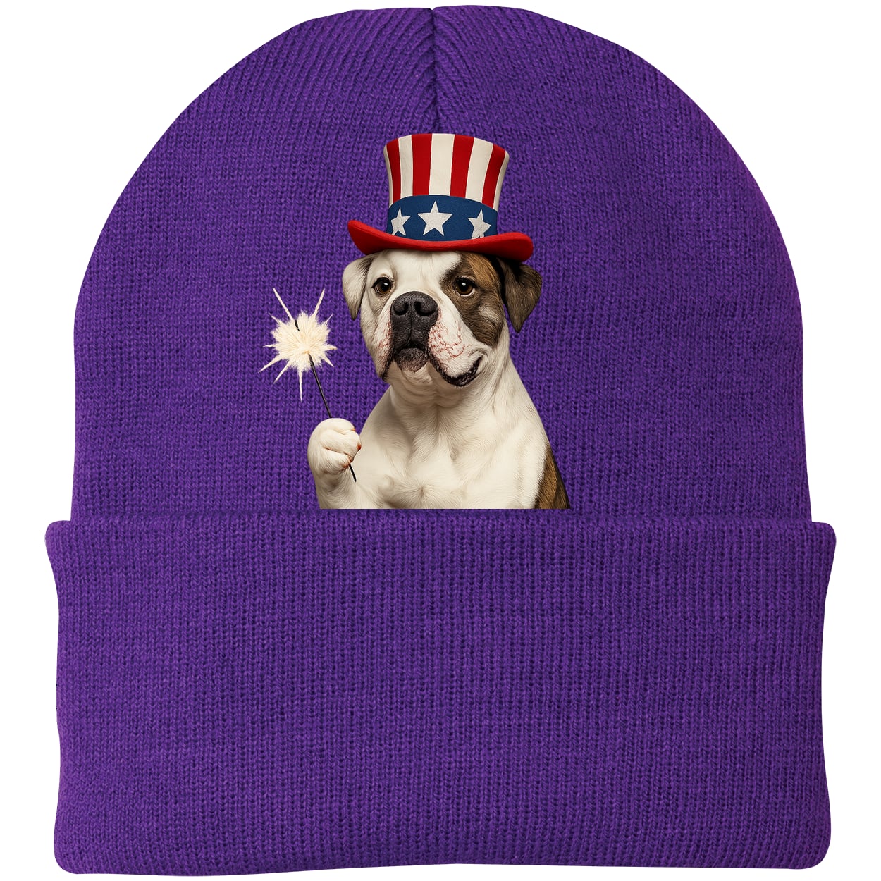 CP90 Port & Company Knit Beanie - Athletic Purple