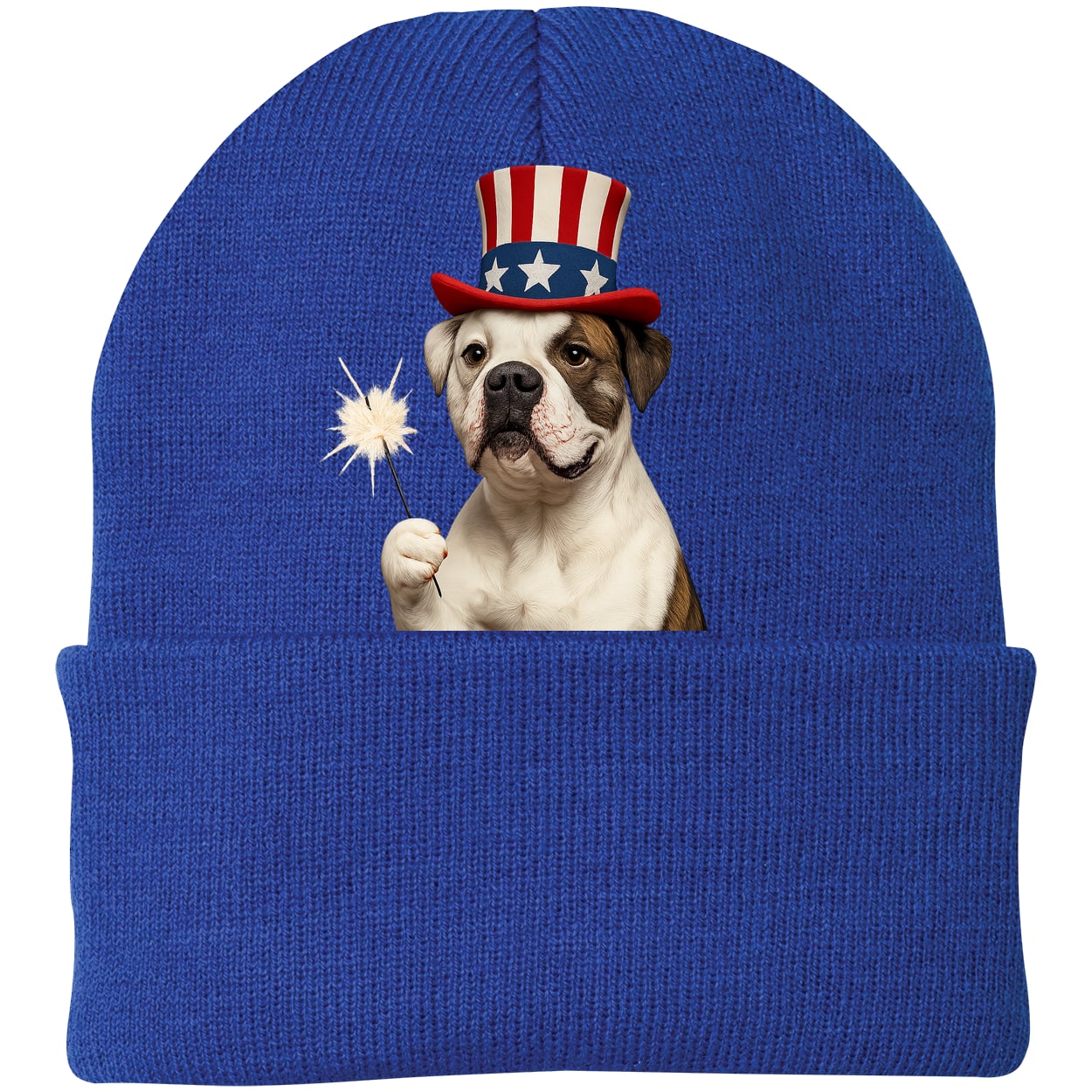 CP90 Port & Company Knit Beanie - Athletic Royal