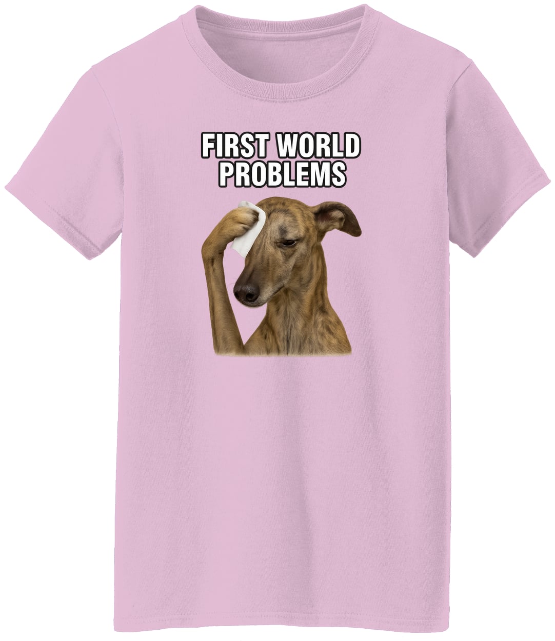 G500L Ladies' 5.3 oz. T-Shirt - Light Pink
