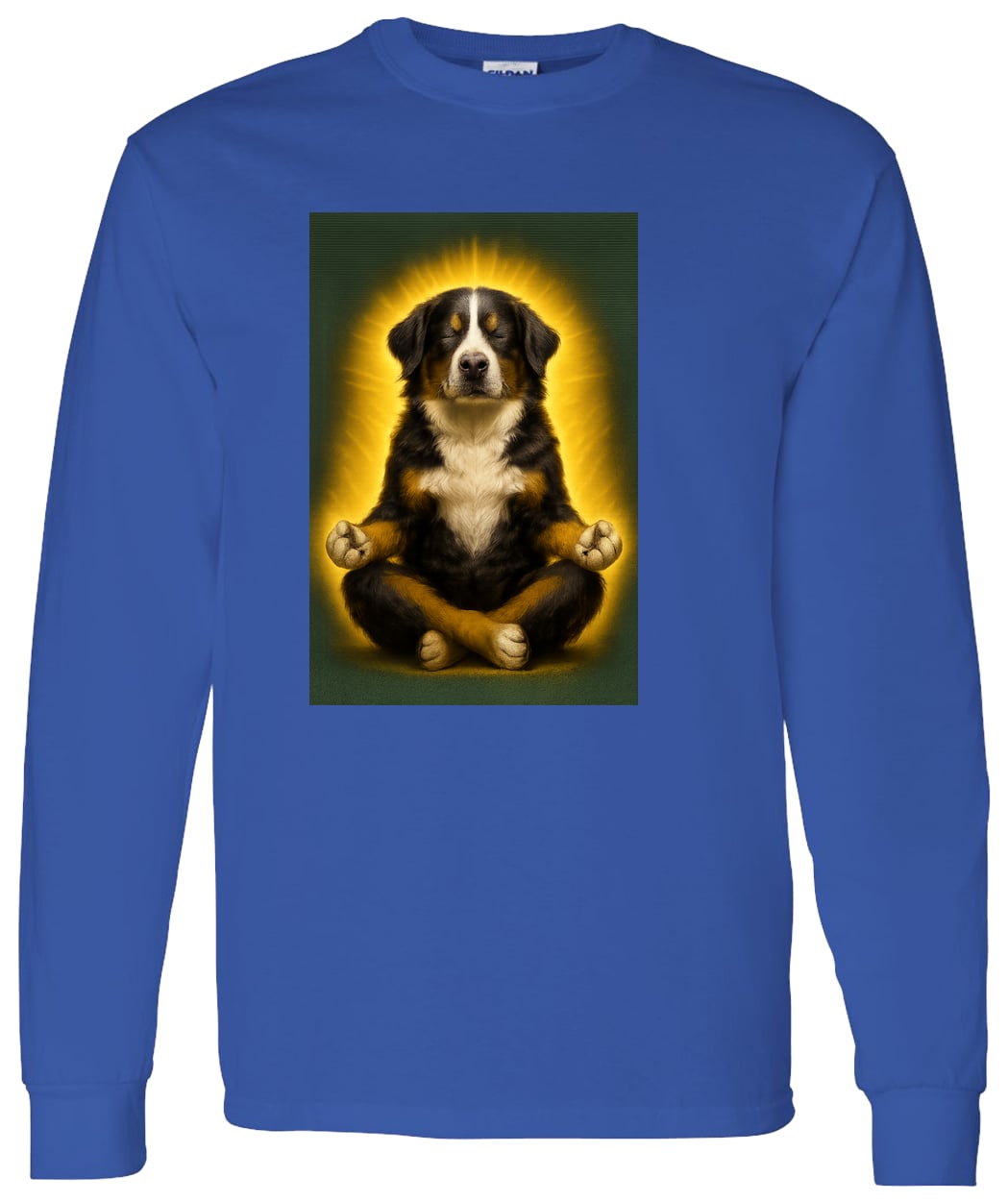 G540 LS T-Shirt 5.3 oz. - Royal