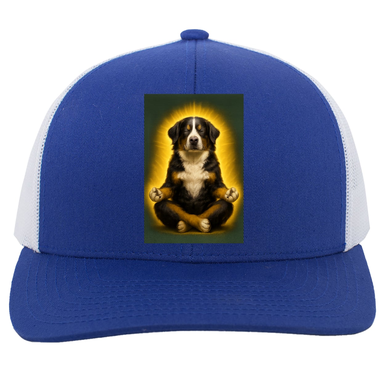 104C Trucker Snap Back - Royal/White