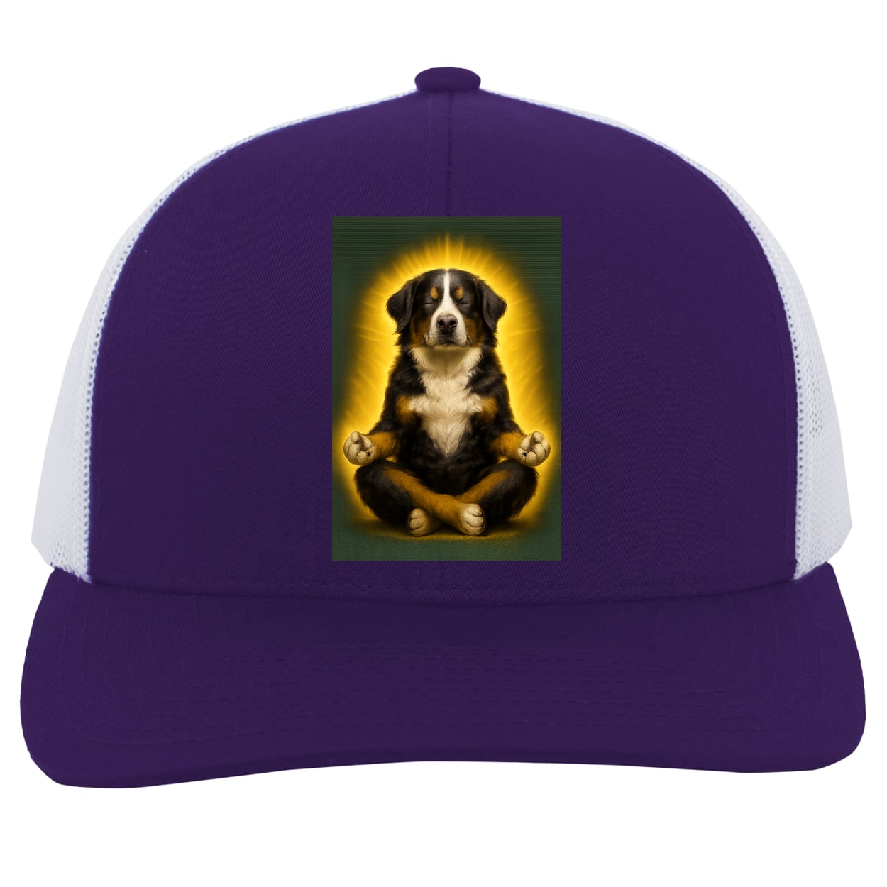 104C Trucker Snap Back - Purple/White