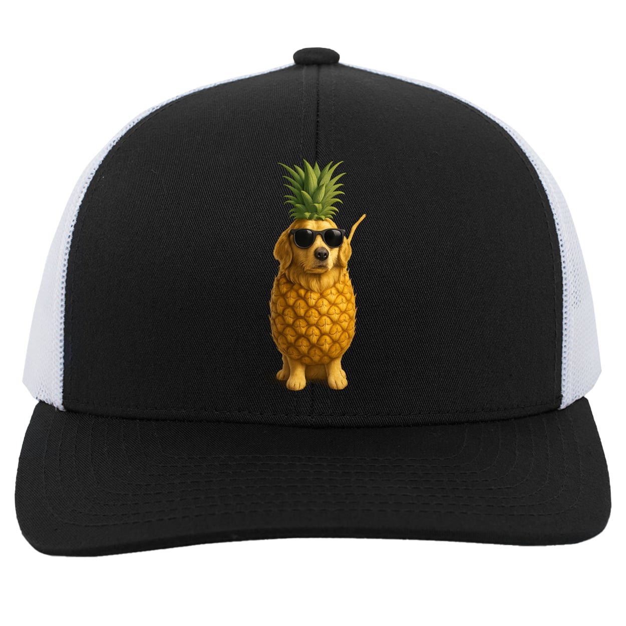 104C Trucker Snap Back - Black/White