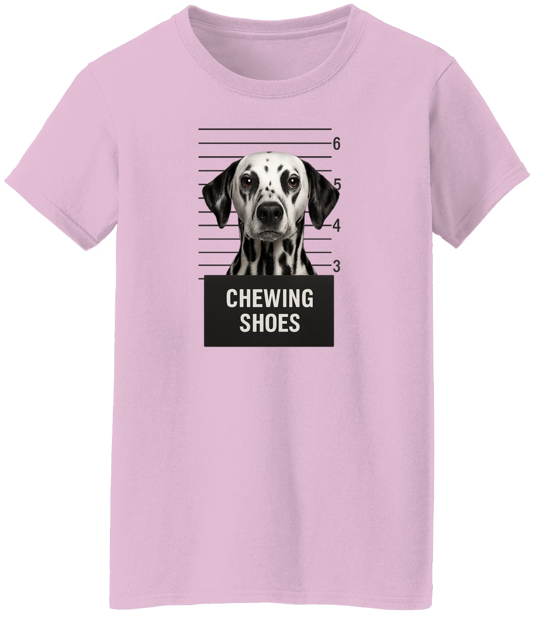 G500L Ladies' 5.3 oz. T-Shirt - Light Pink
