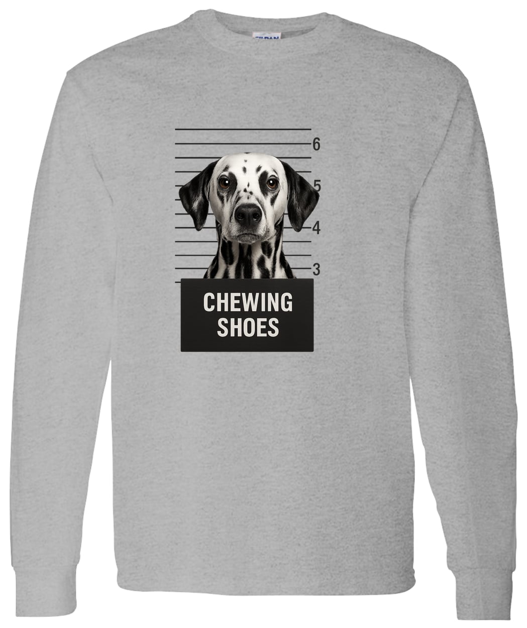 G540 LS T-Shirt 5.3 oz. - Sport Grey