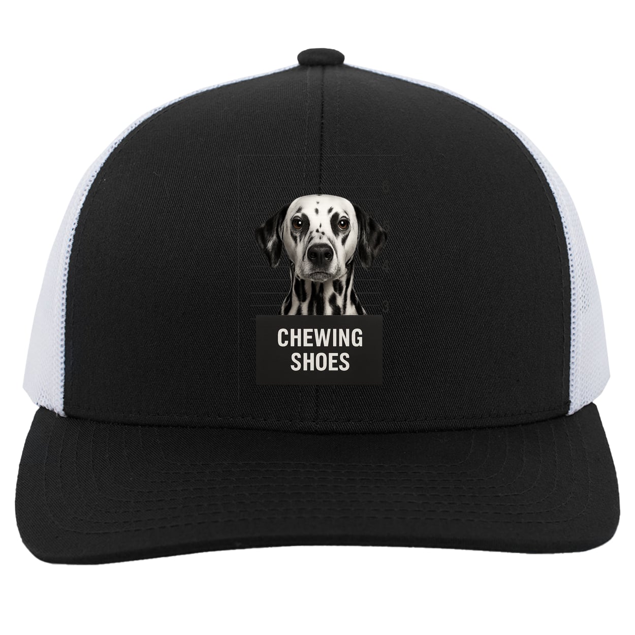 104C Trucker Snap Back - Black/White