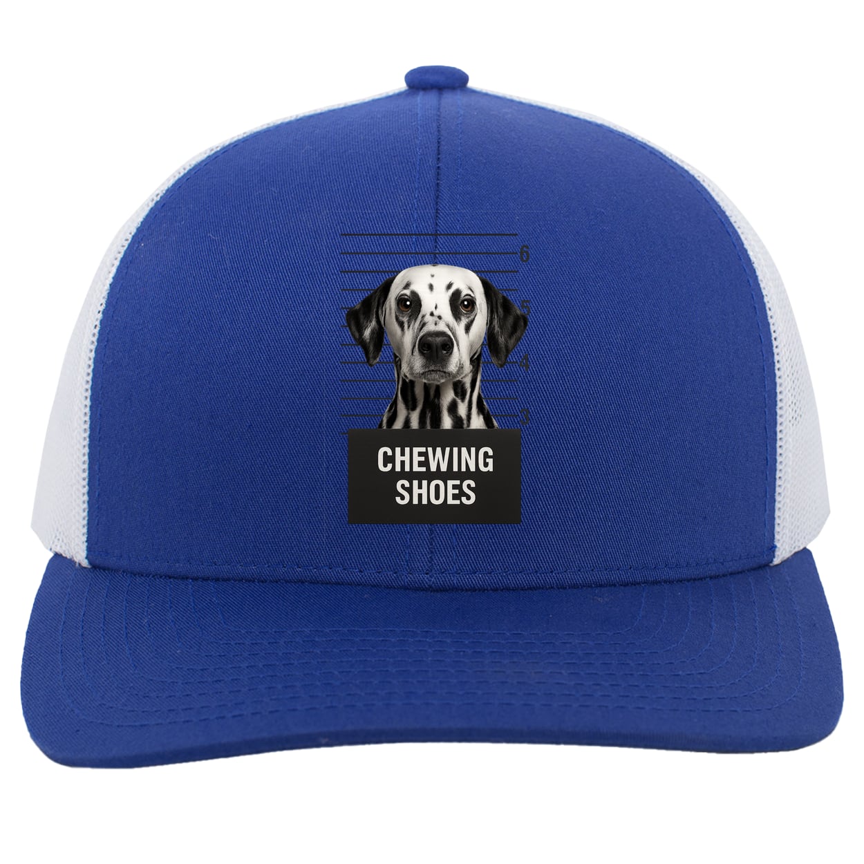 104C Trucker Snap Back - Royal/White