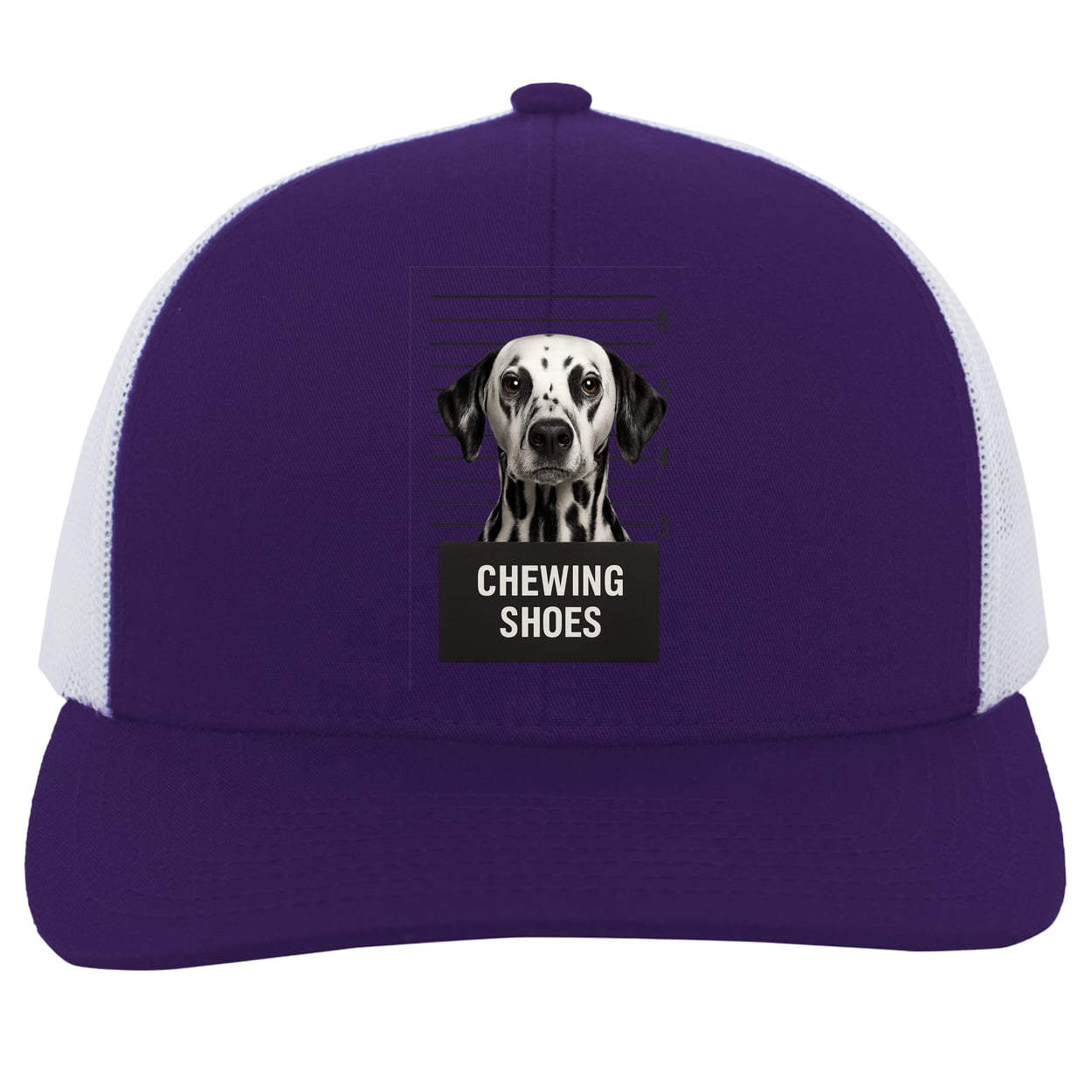 104C Trucker Snap Back - Purple/White