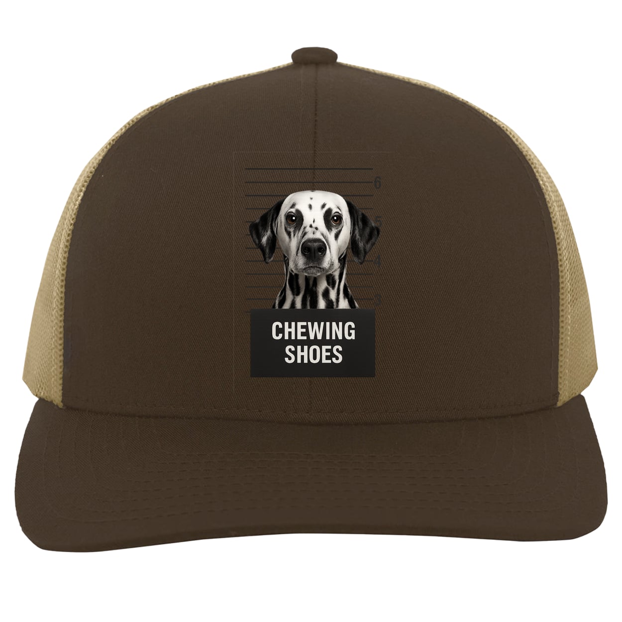 104C Trucker Snap Back - Brown/Khaki