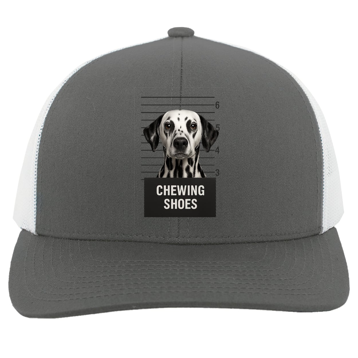 104C Trucker Snap Back - Graphite/White